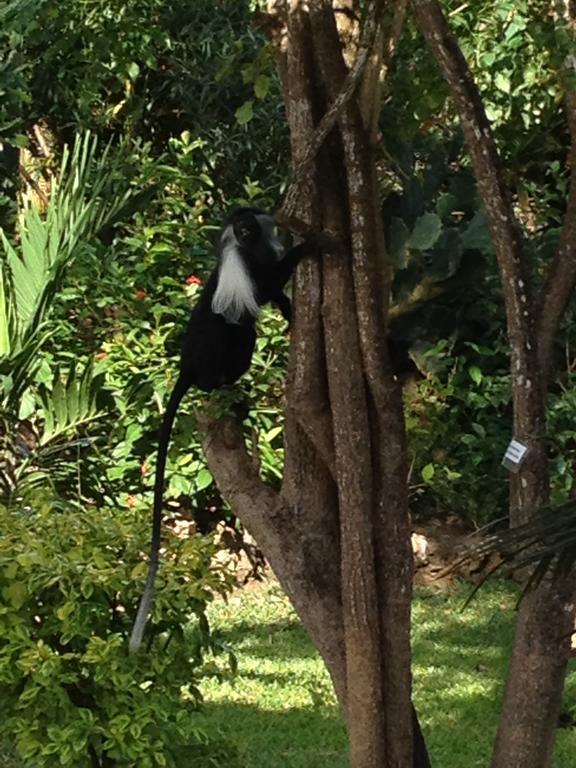 Marula Park Villa Diani Beach Room photo